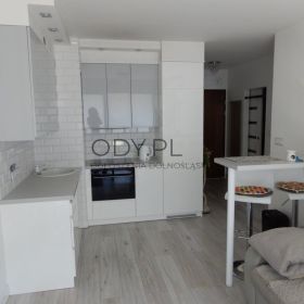 1pok, 39met, Okolice Brzozowej BALKON/WINDA/2016 (Wrocław)