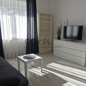  2pok, 53met, Okolice Hallera ROZKŁAD/KOMÓRKA (Wrocław)