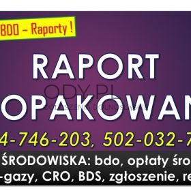 Obsługa BDO, cennik tel. 504-746-203. Sprawozdanie za opakowania, pomoc