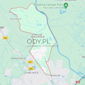 4pok 100met Pracze Odrzańskie PIWNICA/STRYCH/OGRÓD (Wrocław)
