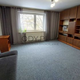 2pok, 40met, okolice Grudziądzkiej PIWNICA/STRYCH (Wrocław)
