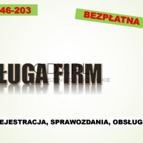 Obsługa firm Kobize, BDO,  obliczenie opłat środowiskowych, raport za odpady