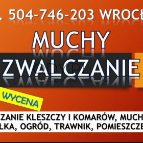 Firma zwalczająca muchy, dezynfekcja, tel. 504-746-203. Likwidacja much usługi.