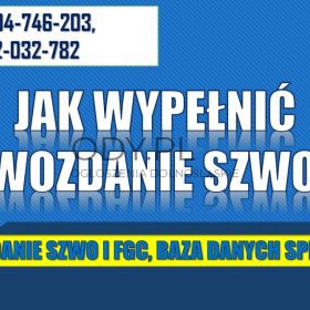Jak wypełnić sprawozdanie SZWO i FGC, tel 504-746-203, fgazy, czynnik chłodniczy