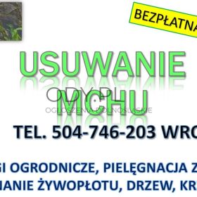 Usuwanie mchu z kostki, Wrocław, tel. 504-746-203. Czyszczenie kostki brukowej, 