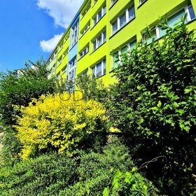  3pok, 56met, Okolice Kruczej ROZKŁAD/BALKON/PIWNICA (Wrocław)