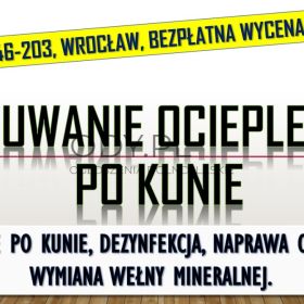 Naprawa, ocieplenia, izolacji, tel. 504-746-203, Wrocław, po kunie