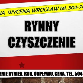 Czyszczenie rynien, cennik, tel. 504-746-203, Wrocław, udrażnianie rynny, usługi